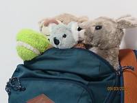 Pluche friends
