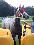 Win for Marlo