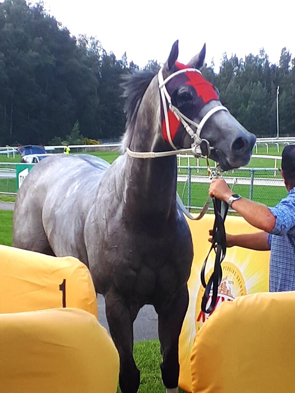 Win for Marlo
