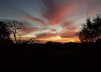 Nice sky