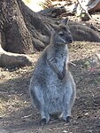 Gorge reserve