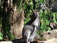 Gorge reserve