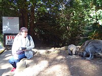 Gorge reserve