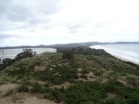 DSC08967