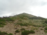 DSC08996