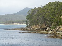 DSC09011