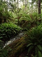 DSC09027