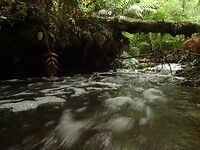 DSC09042
