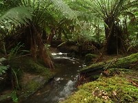 DSC09047