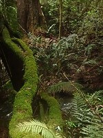 DSC09053