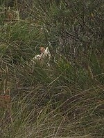 DSC09063