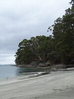 DSC09068