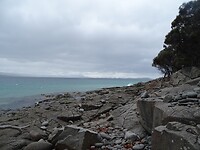 DSC09076