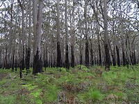 DSC01817