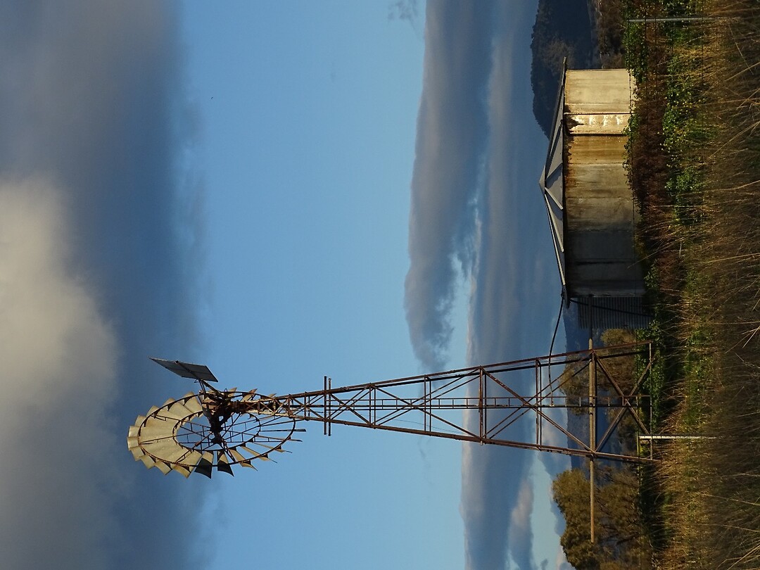 DSC00122