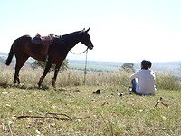 DSC02723