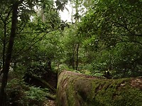 DSC09107