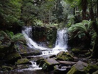 DSC09160