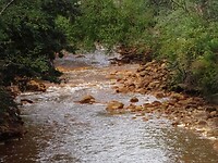 DSC09235