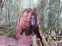 IMG-20200307-WA0026