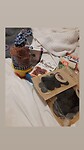IMG_20210216_211809_505