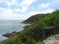 DSC02973