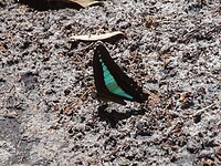 DSC02990
