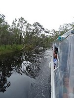 DSC03048