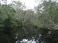 DSC03065