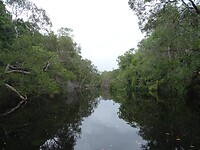 DSC03069
