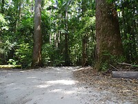 DSC03243