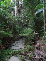 DSC03307