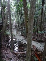 DSC03310