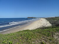 DSC03414
