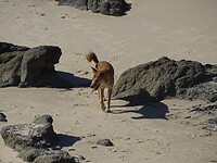 DSC03422