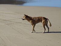 DSC03456