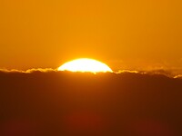 DSC03521