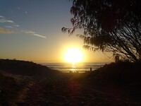DSC03534