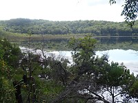 DSC03548