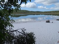 DSC03550