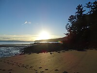 DSC03868