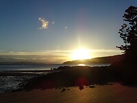DSC03873