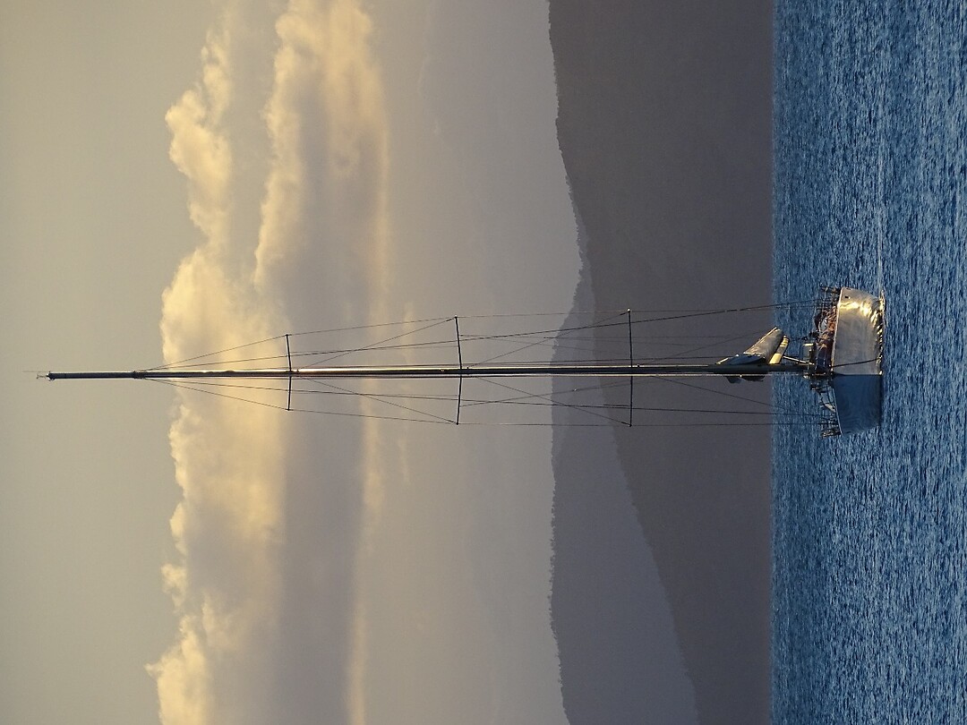 DSC03875