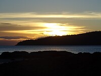 DSC03881