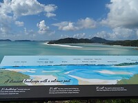 DSC03920