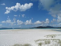 DSC03924