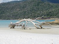 DSC03927