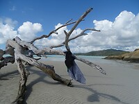 DSC03928