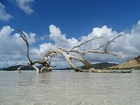DSC03940