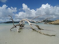 DSC03941